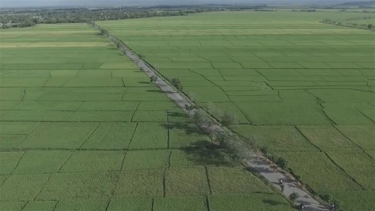  民间|民间牛人发明“手摇式”插秧机，不用油不用电，200元造一