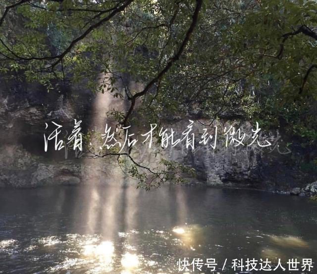 【去了五】今晚月色很美,风也温柔。一想你,梦就溢满温度。
