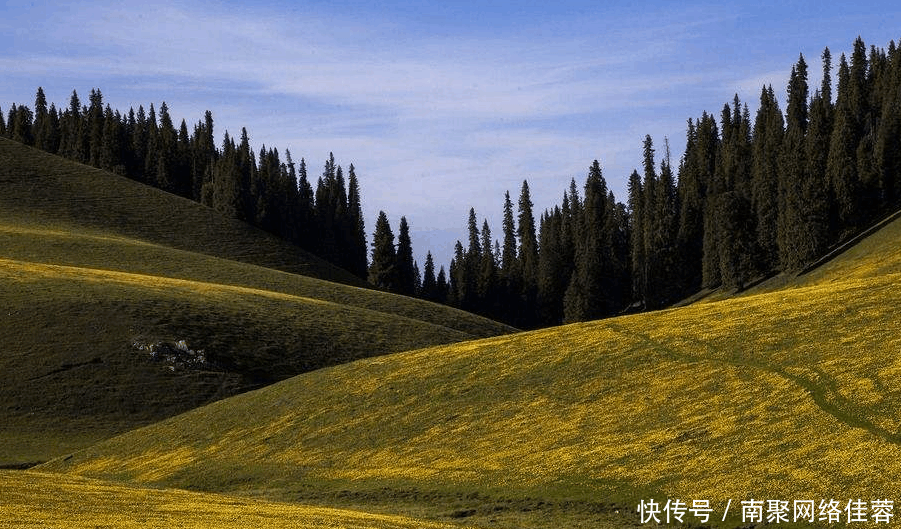 中国真牛! 经过60年对抗, 4.22万平方公里的沙漠慢慢消失!