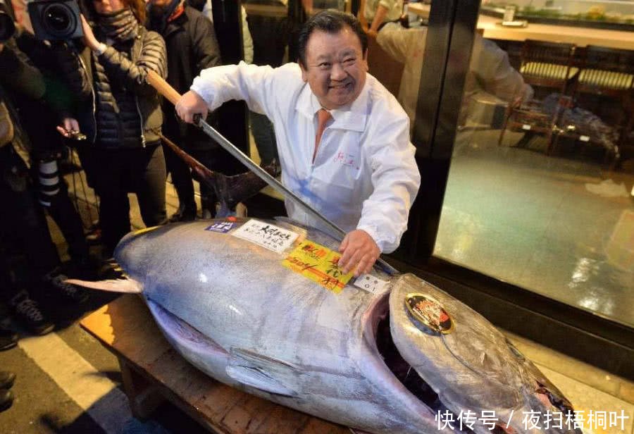 世界上“身价最高”的几条鱼，查干湖头鱼排第三，第一超过1亿元