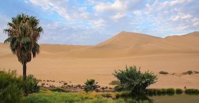  [不住]中国用几十年干掉一片千年沙漠，就连联合国也坐不住了：