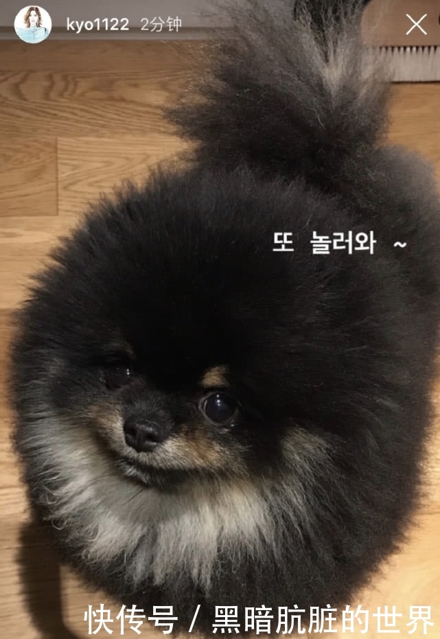 宋慧乔喜欢宋仲基