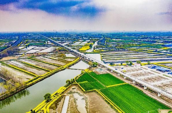 航拍连淮扬镇铁路，像一条巨龙横卧在花海中