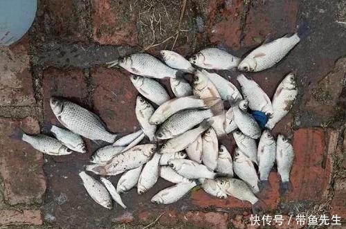 [小编]扎堆钓鱼也叫安全？请管好你的家人，别再出门钓鱼了，外面很危险