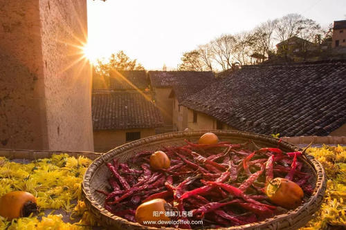 比宏村人少，比篁岭更美！浙江周边藏着一座隐世小村落，拥有最撩
