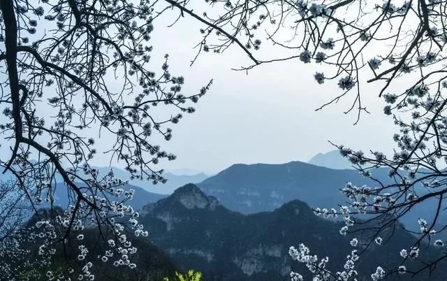 2020年,这个新年假期太长了,待到春暖花开时,相约太行大峡谷