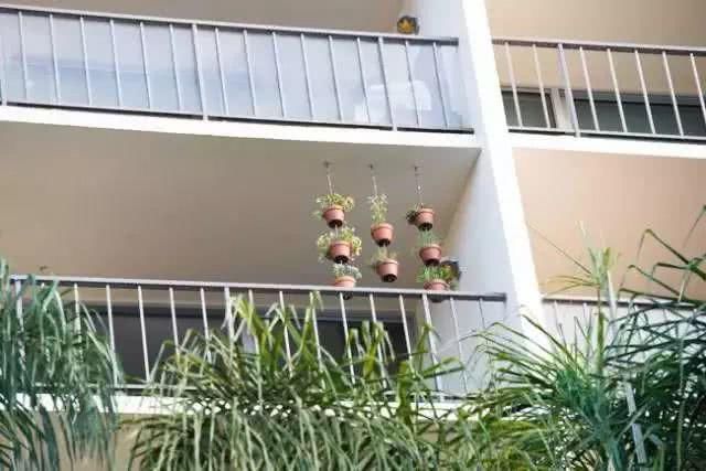  居家：居家打造精致小花园的8种方法，美到极致了！