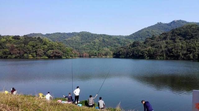  #灵活调钓#野钓调漂，真没有那么多讲究，只要会钓钝抓死口，渔获自然不会少
