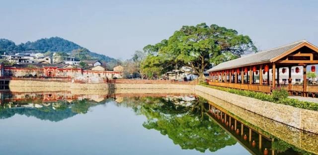 江西这么多景区统统免费！打折！不知道就亏大了