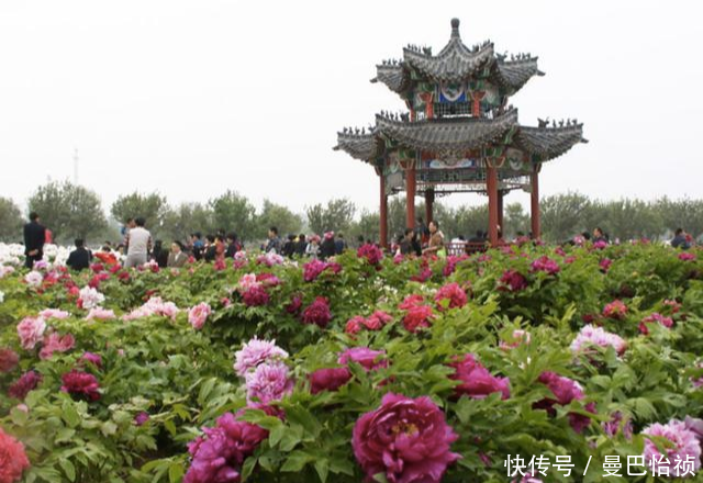  杜受田|山东两个在2000年设立的地级市