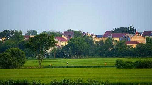  「电商」未来几年！在农村也能赚钱，特别是这4种行业