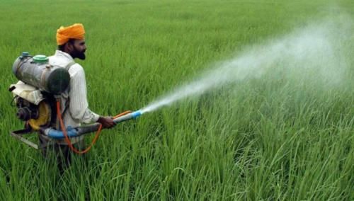 美国卫星20年照片显示，中国不断变绿，印度的情况却不容乐观