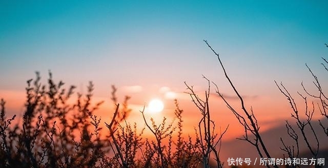  「就别」不懂这个心理学效应，你就别想搞定人
