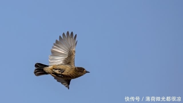  force@年轻人为何不愿缴社保？他们不缴，那些退休的人怎么办？