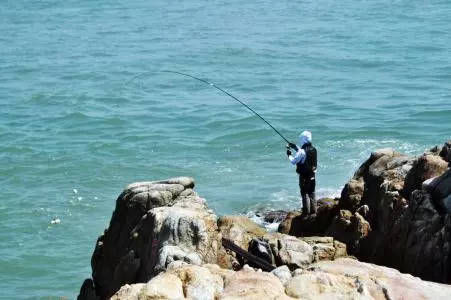  养殖性鱼排■海钓技巧之排钓、矶钓、岸钓分析