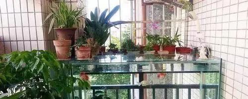  「人喜欢养」在阳台上砌一个鱼池，可拉风了，让外人一看就觉得你是个土豪！