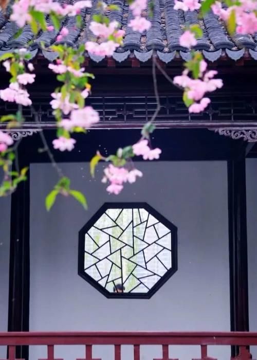  #拍摄#诗意摄影，如何把“檐下窗棂斜映枝桠，与你席地对座饮茶”拍摄得如诗如画？
