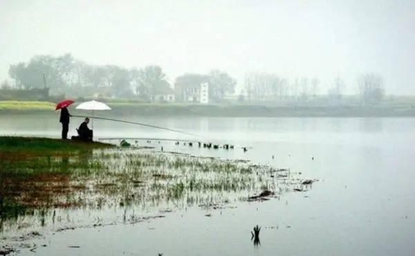  「气温」春季钓鱼抓规律，根据这些规律来钓鱼，想不爆护都难！