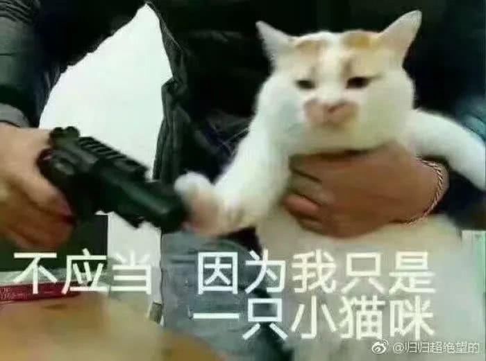  『N°7』毛孔粗大不要怕！这6款平价又好用的产品推荐给你~