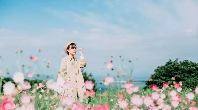 贝壳分享||看完这篇,又多了好多打卡地