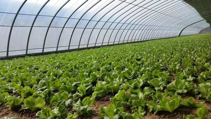 省内大部迎降水，冷空气今明两天说来就来！