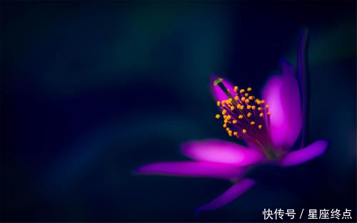 下半年:下半年桃花上上签,有望结束单身,顺利步入婚姻殿堂的四大生肖