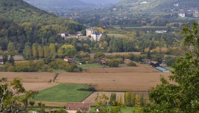  【大树】农村俗语“屋前有大树，有屋无人住”啥意思？房前能不