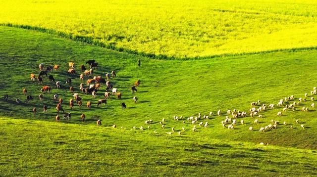 女人不能错过的8次旅行，每年去一个