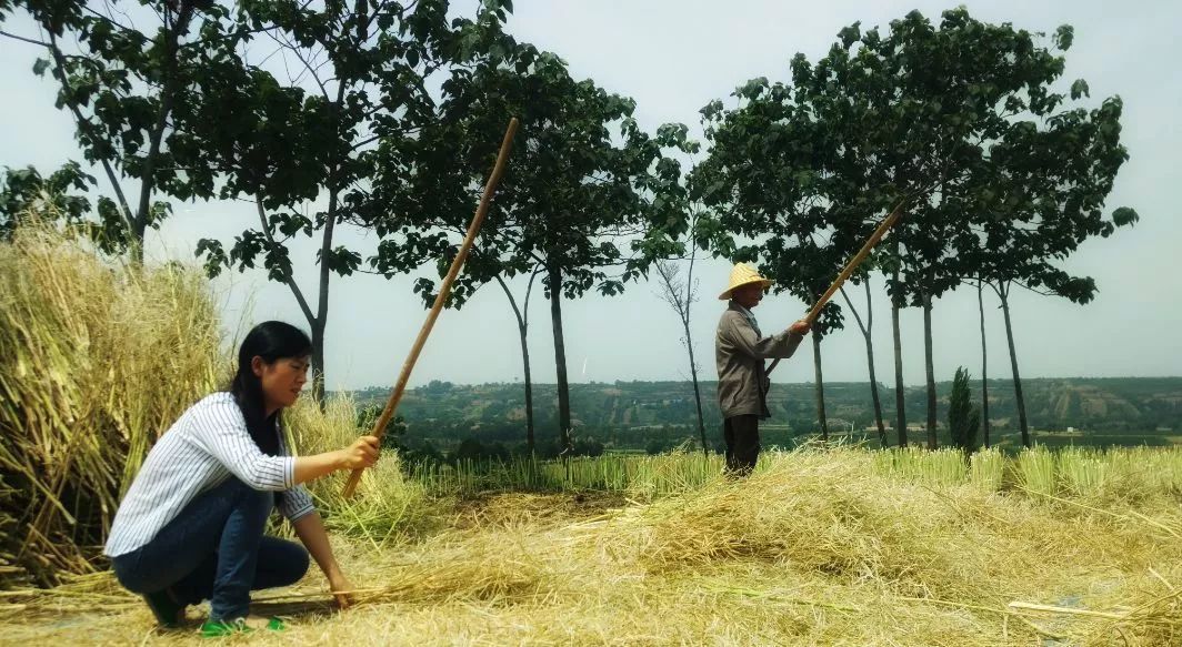  「七月」农村俗语“七月蜂八月蛇，九月黄鳝惹不得！”农民干农