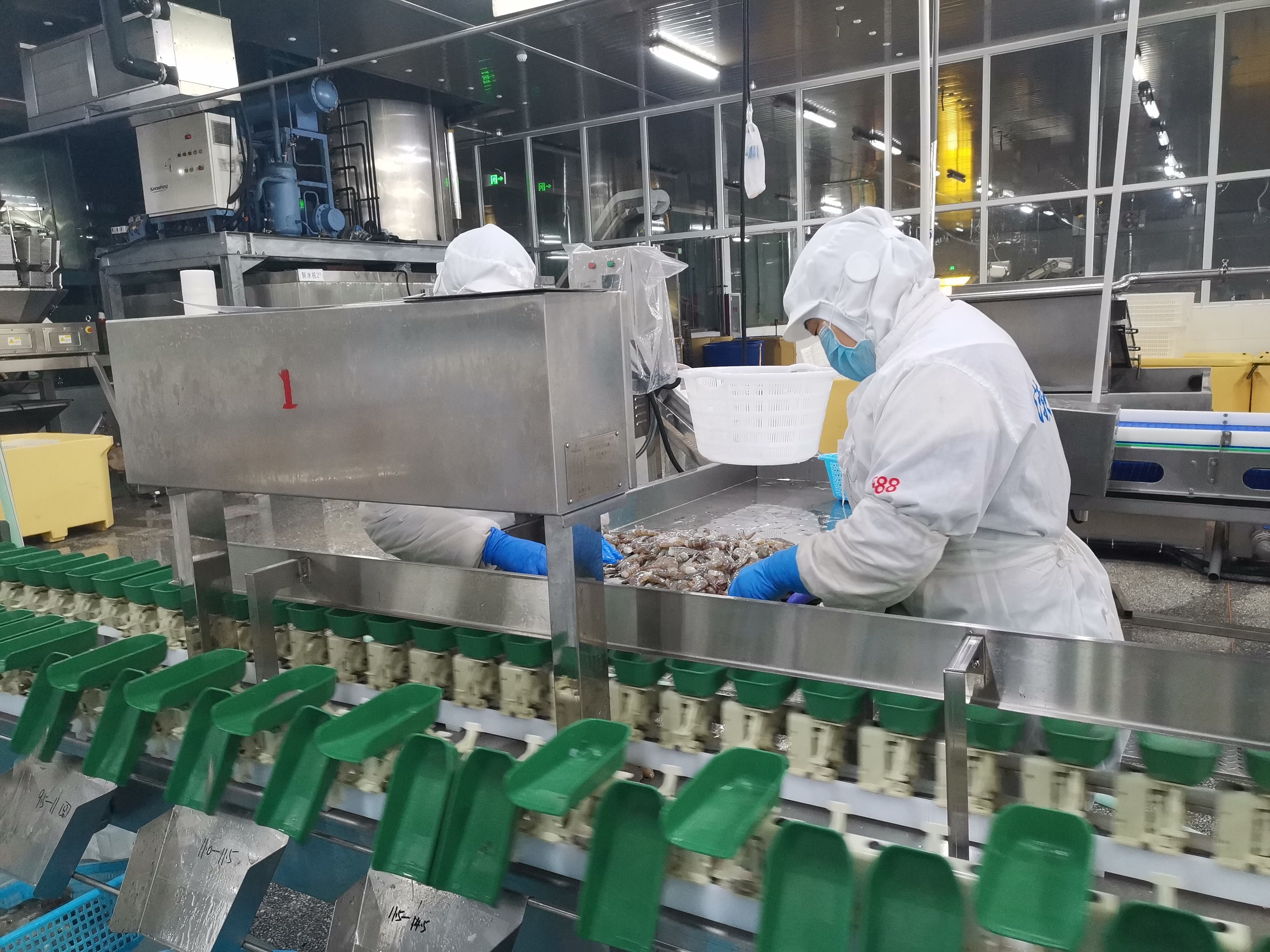  「经济」小对虾掀起现代海洋大产业！滨州北海经济开发区推动传统海洋产业提档升级