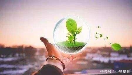 18年起, 农村这些地区“禁止”养殖, 不听劝阻的, 会被拆除并罚款