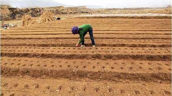  只能|农民老了怎么办？