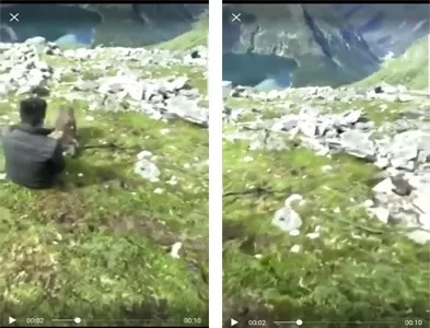 网民举报有人在西藏山南勒死藏羚羊 官方辟谣