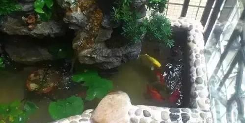  鱼缸：还在用鱼缸养鱼, 太难看了, 在阳台砌个鱼池漂亮又拉风!