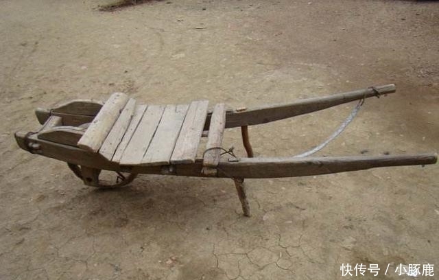 认识5个正常, 10个算厉害, 全部都认识的你就超“神”了!