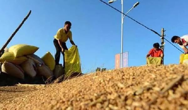 农村又一好消息，全国8亿农民将迎来6件大好事，还有多少农民不知