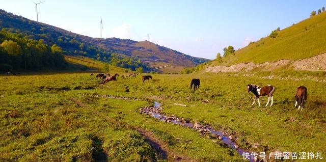 这个地方风景如画,随手一拍就是大片