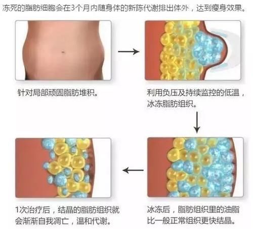  种方式■肯豆变芭比、麦粒成Cool girl，2020炫腹小“腰”精风正式上线