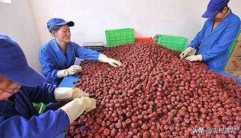 未来10年，农村迎来黄金发展期，给农村带来6大变化，要抓住时机