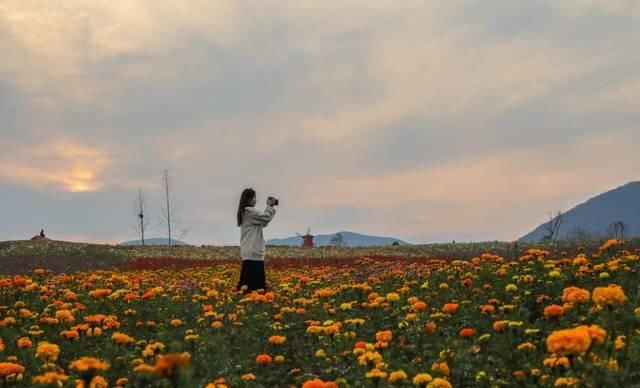 最适合发呆、晒太阳、撸猫的日子,大约在冬季