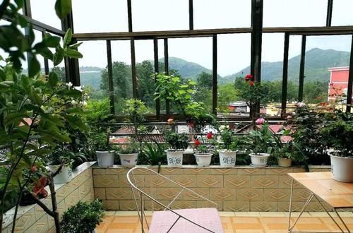  [生活]40岁之前，赚钱养家，40岁之后，种菜养花！
