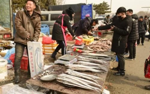  试下■鼠年想回村创业的，不妨试下这3个生意，做得好一年几万也