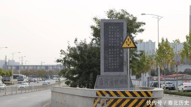 郑州千年古树不简单，因大火沉睡百年再发新芽，政府设特殊保护区