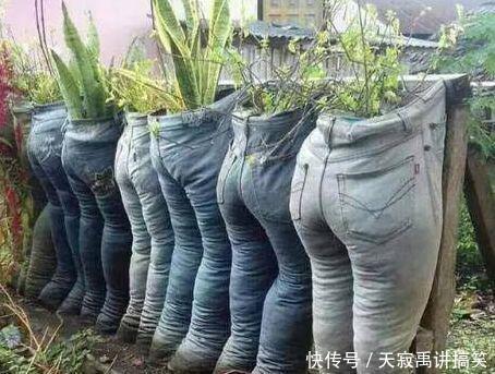 奇葩女子把旧牛仔裤变废为宝，种上一些花草，令人大开眼界