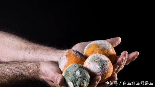 「橘子」烂了的橘子千万别扔,放在家里能“值钱”,要早点明白就好了