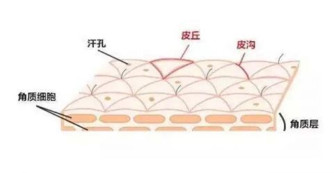  『放松』不讲仪式感的护肤是没有灵魂的，总得给自己点浪漫不是么？