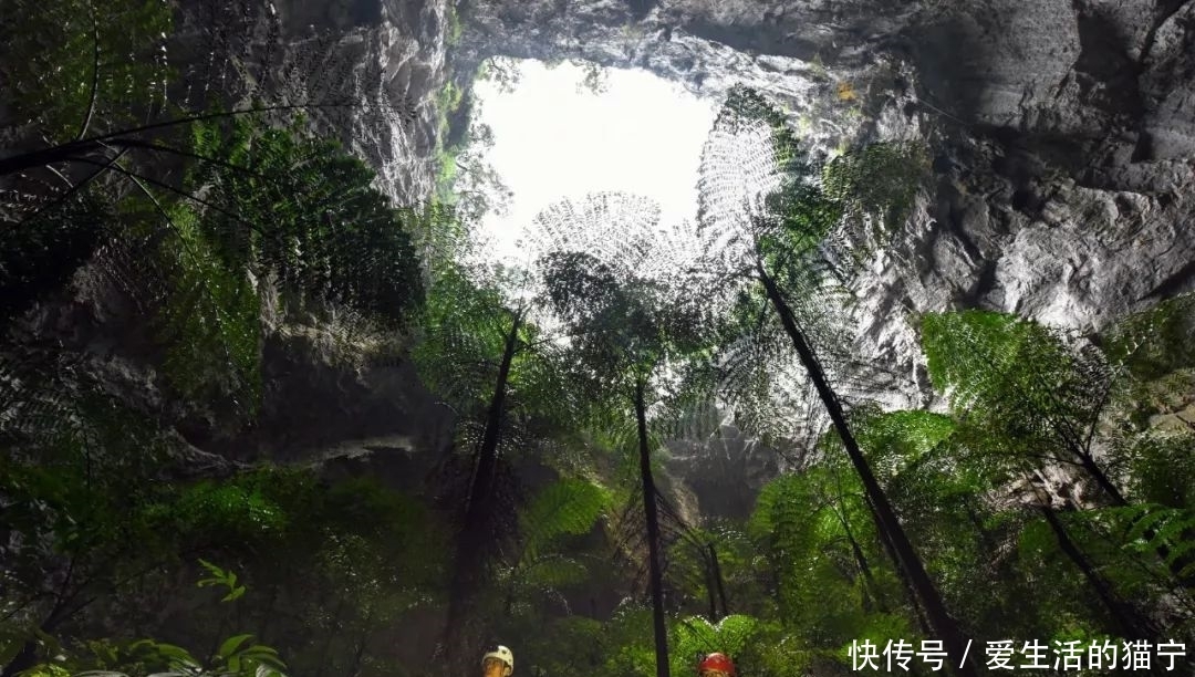 「关注」壮观!19个天坑!广西发现世界级天坑群