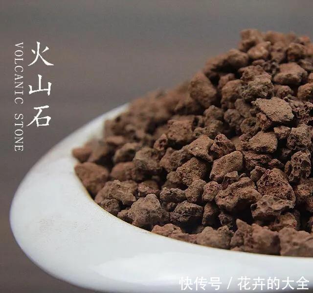 【多肉的时】多肉“铺面”的那些事儿