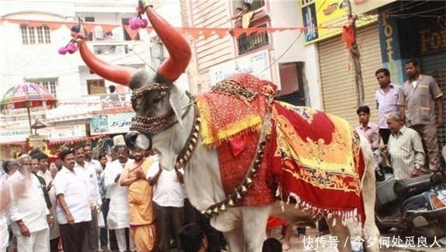 去印度旅游,难以理解的4个风俗习惯,你最不能接受哪一个?