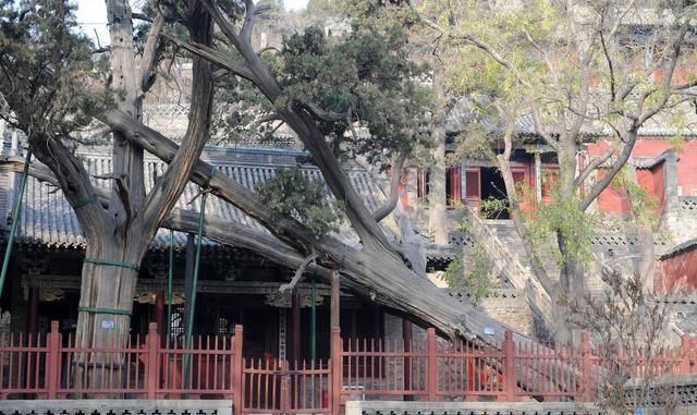  山西：?它不是5A景区，却是山西最值得去的景点，历史很悠久价格却很亲民